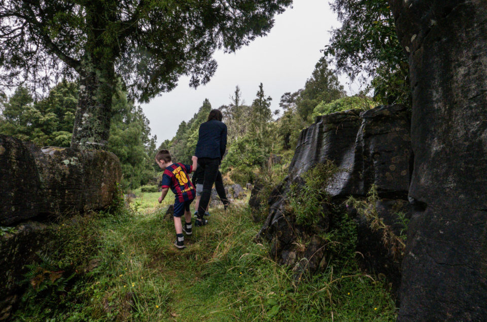 New Zealand – lidt ligesom det bedste af Danmark – bare lidt skønnere