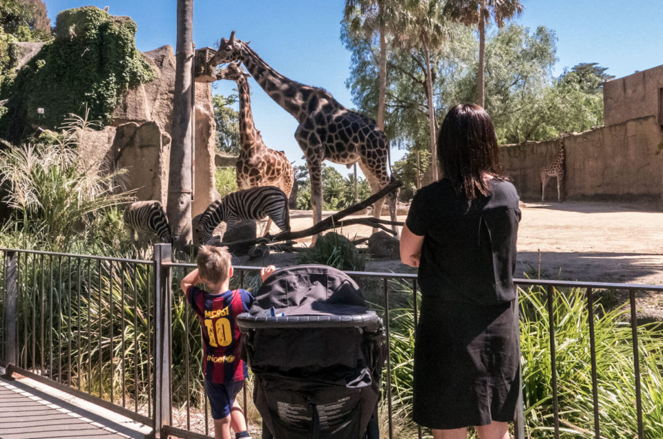 Melbourne – mere tid ville ikke have gjort noget